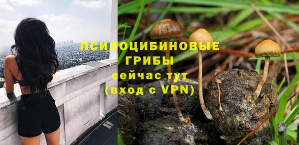 спайс Алзамай