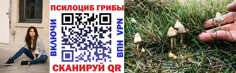 Галлюциногенные грибы мицелий Сибай